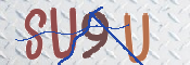 この文字を入力してください