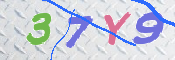 この文字を入力してください