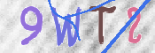 この文字を入力してください