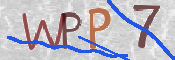 この文字を入力してください