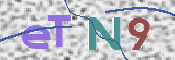 この文字を入力してください