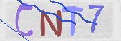 この文字を入力してください