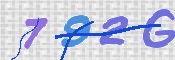 この文字を入力してください