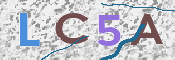 この文字を入力してください