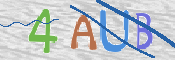 この文字を入力してください