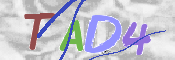 この文字を入力してください