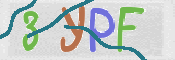 この文字を入力してください