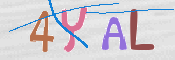 この文字を入力してください
