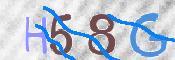 この文字を入力してください