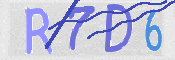 この文字を入力してください