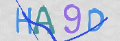 この文字を入力してください