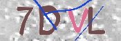 この文字を入力してください