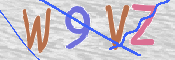 この文字を入力してください