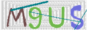 この文字を入力してください
