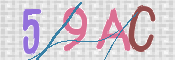この文字を入力してください
