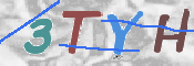 この文字を入力してください