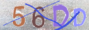 この文字を入力してください