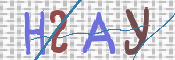 この文字を入力してください
