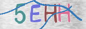 この文字を入力してください