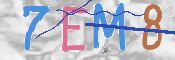 この文字を入力してください
