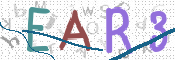 この文字を入力してください
