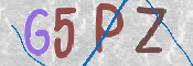 この文字を入力してください