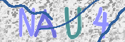 この文字を入力してください