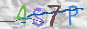この文字を入力してください