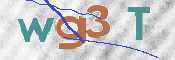 この文字を入力してください