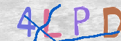 この文字を入力してください