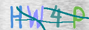 この文字を入力してください