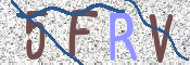 この文字を入力してください