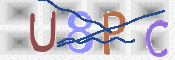 この文字を入力してください