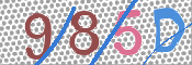 この文字を入力してください