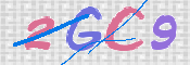 この文字を入力してください