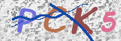 この文字を入力してください