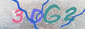 この文字を入力してください