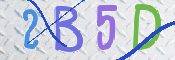 この文字を入力してください