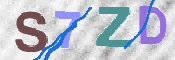 この文字を入力してください