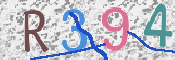 この文字を入力してください