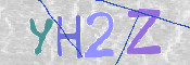 この文字を入力してください