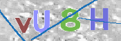 この文字を入力してください