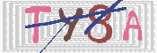 この文字を入力してください