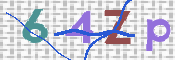 この文字を入力してください