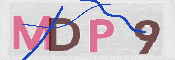 この文字を入力してください