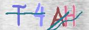 この文字を入力してください