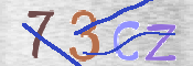 この文字を入力してください