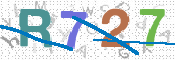 この文字を入力してください