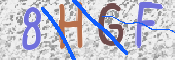 この文字を入力してください