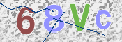 この文字を入力してください